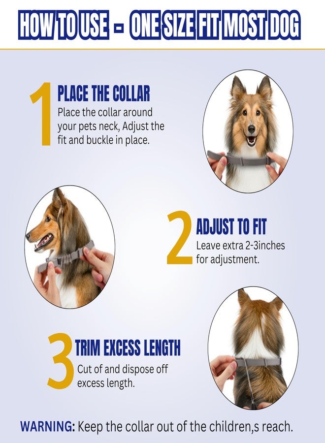 MANRUK™ Adjustable Waterproof Flea & Tick Collar for Dogs - 8-Month Protection with Natural, Safe Ingredients | Adjustable, Safe, and Water-Resistant Dog Collar for All Breeds - Image 5